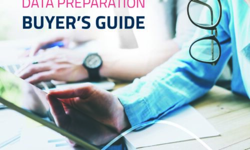 The Datawatch Data Preparation Buyer